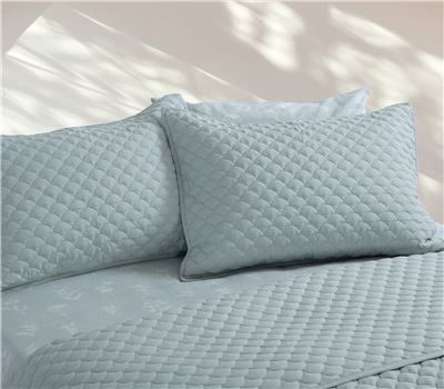 PILLOWCASES 2PCS SET SCOFIELD 52X72 3