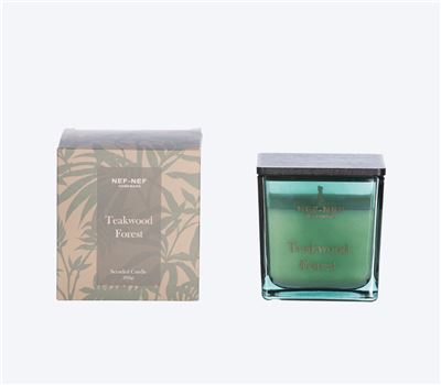 SCENTED CANDLE TEAKWOOD FOREST 25 200gr