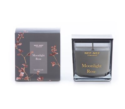 NEW! SCENTED CANDLE MOONLIGHT ROSE 200gr