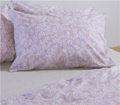 ΜΑΞΙΛΑΡΟΘHΚΗ CYLIA 52Χ72