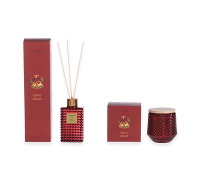 ΑΡΩΜΑΤΙΚΟ ΧΩΡΟΥ ME ΣΤΙΚΣ SPICY GINGER 150ml 2